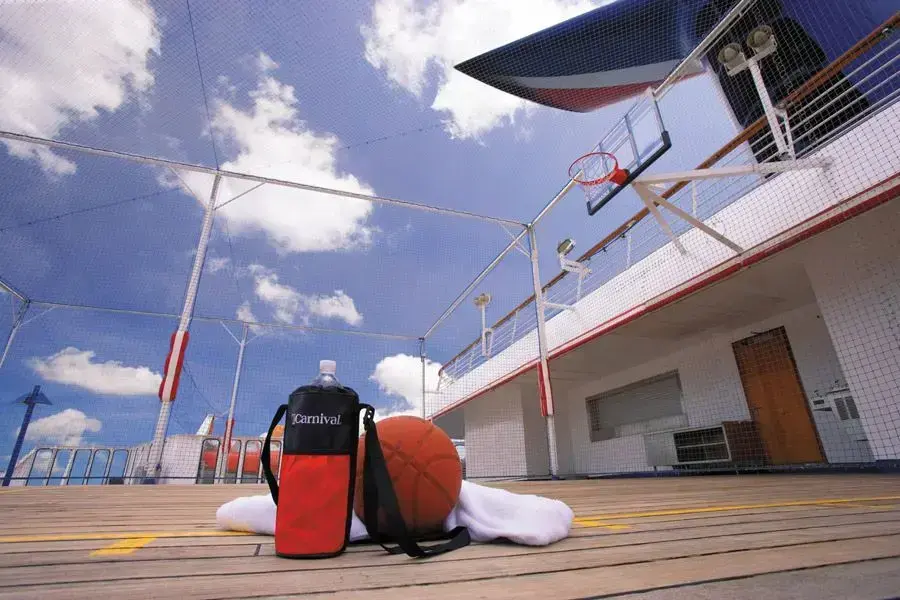 Carnival Pride.webp