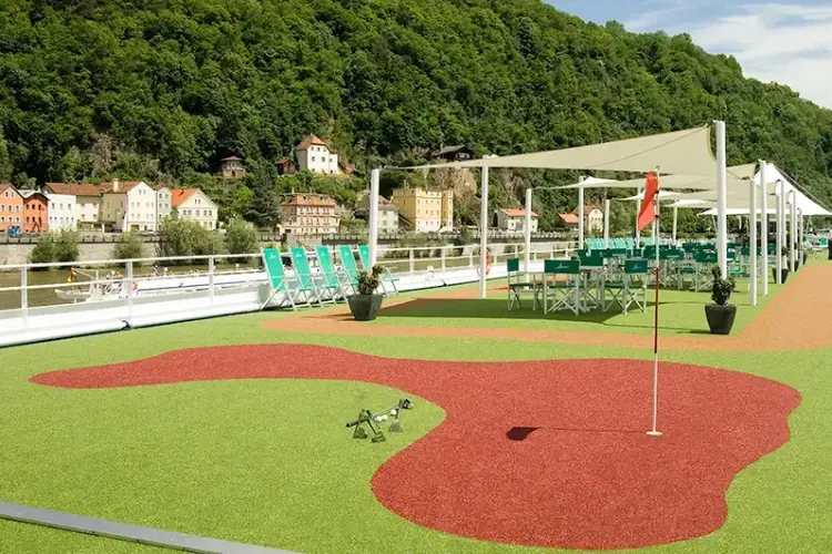 206704.webp