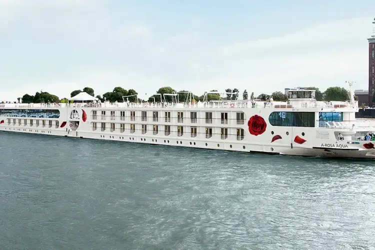 RN_DLX_SCHIFF_08_39L_02.webp