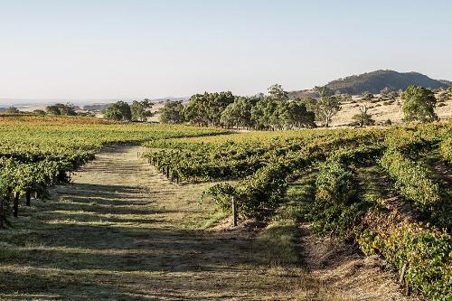 Eden Valley / Australia