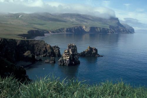 Hall Island / Alaska