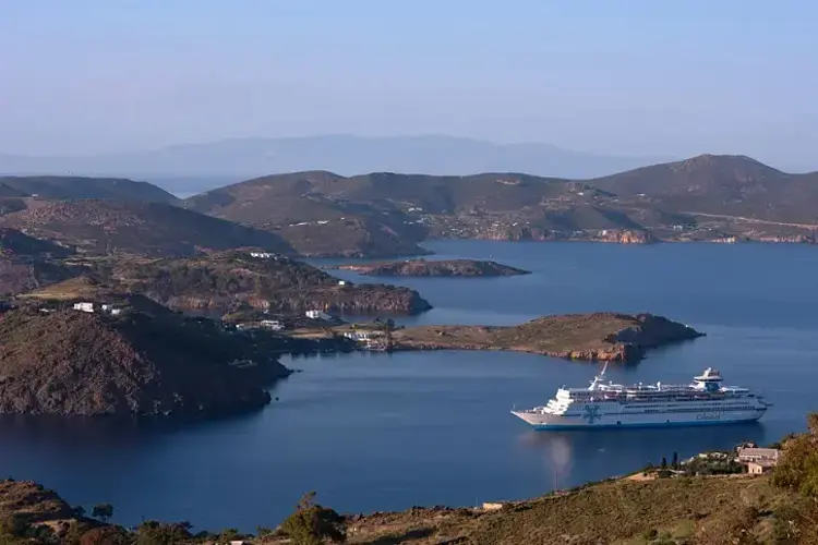 11.webp