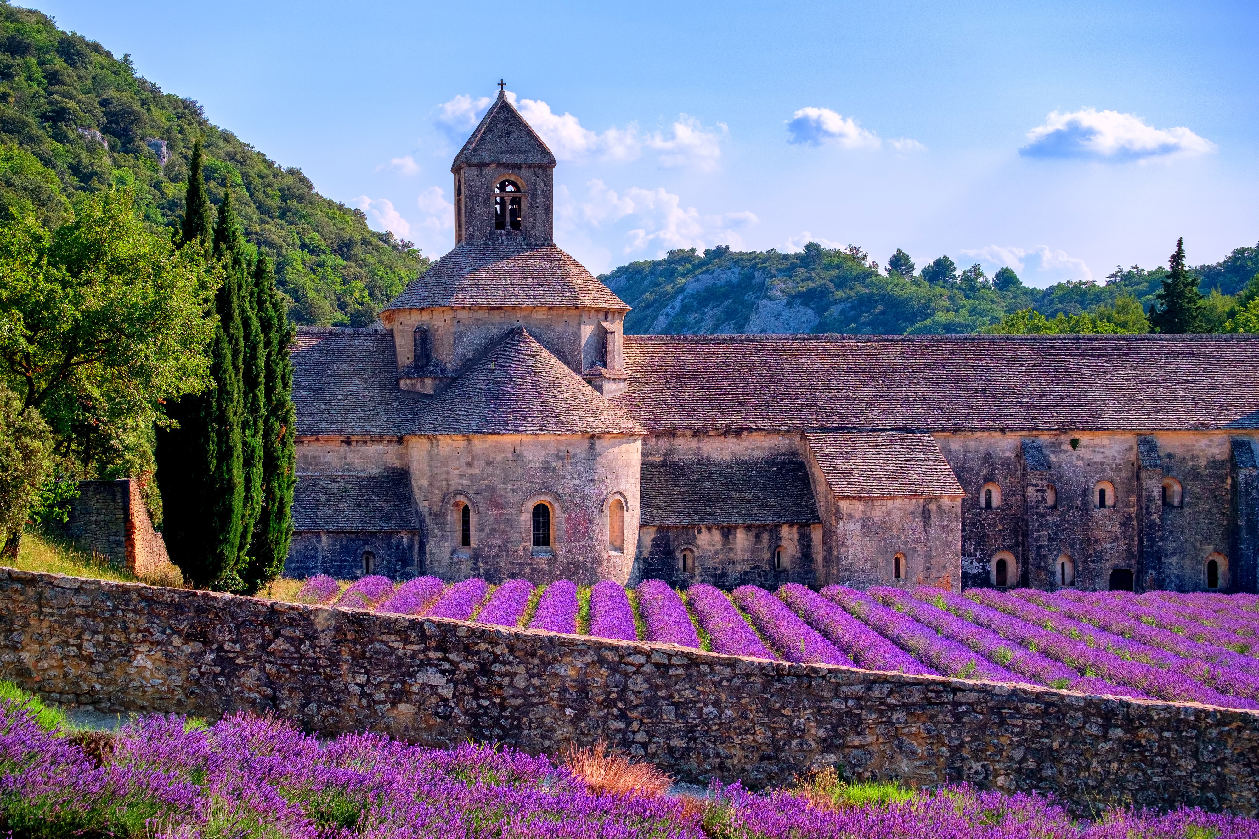 Lueftner_Cruises_Amadeus_Provence_France__c_shutterstock_384685444.jpg