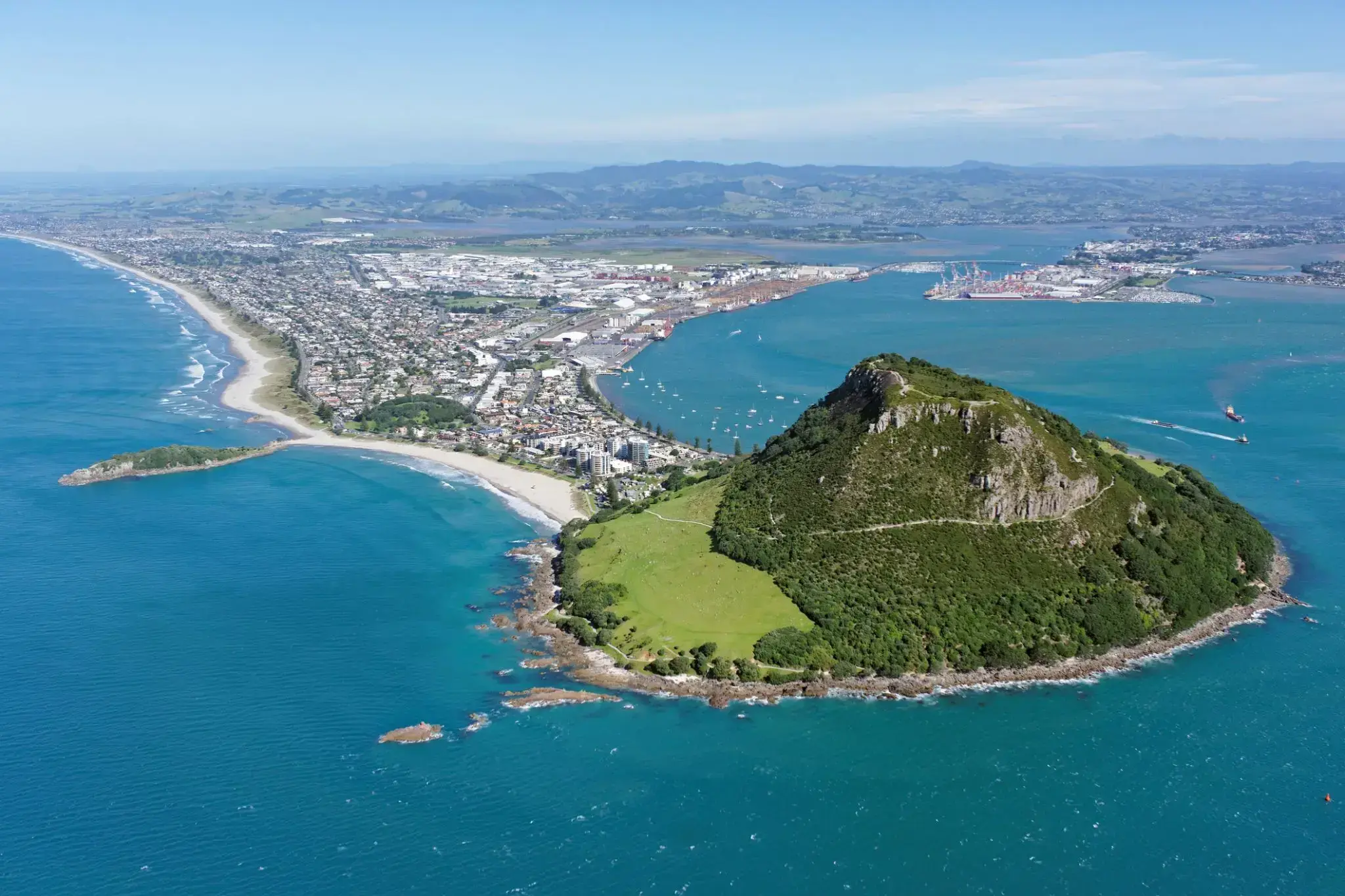447_Tauranga.webp