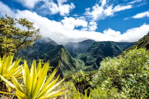 Ла-Посьон / Реюньон