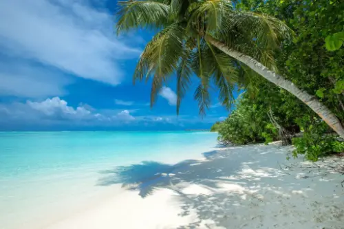 Chefe Pomene / Mozambique