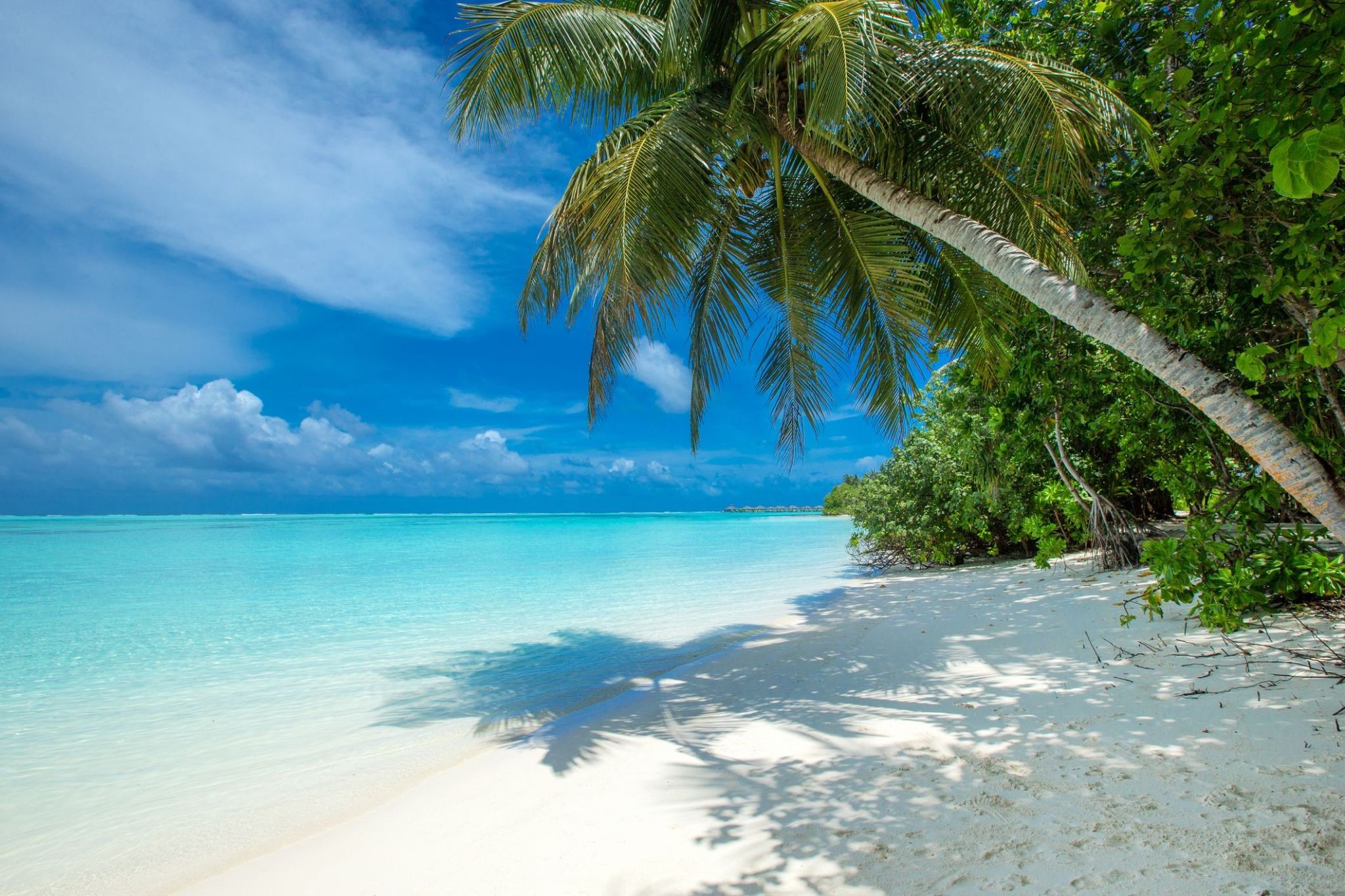 2385605_Chefe Pomene.jpg