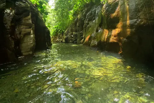 Petit-Bourg / France