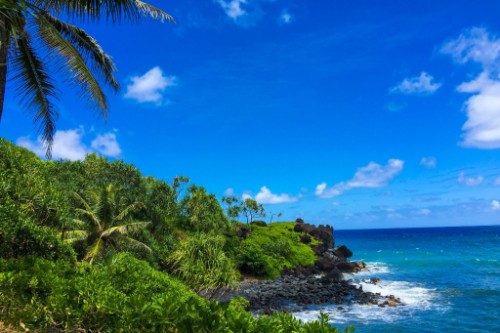 Bounty Bay / Pitcairn Islands