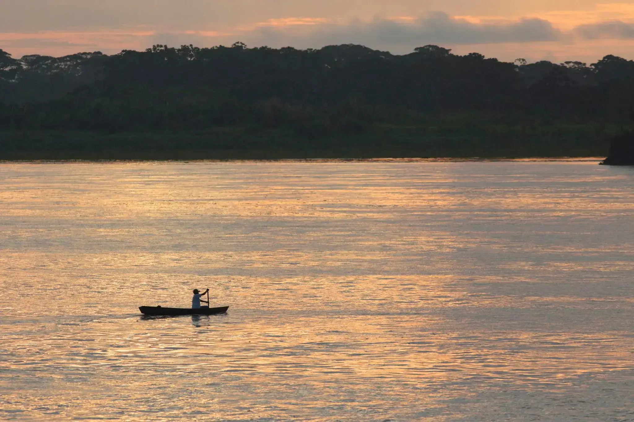 2390000_Nauta (Peru).webp