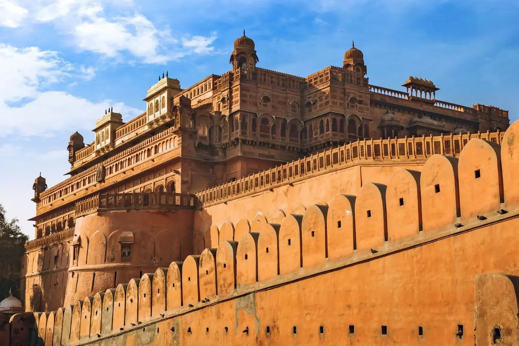 2389998_Bikaner.webp