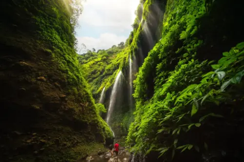 Probolinggo / Indonesia