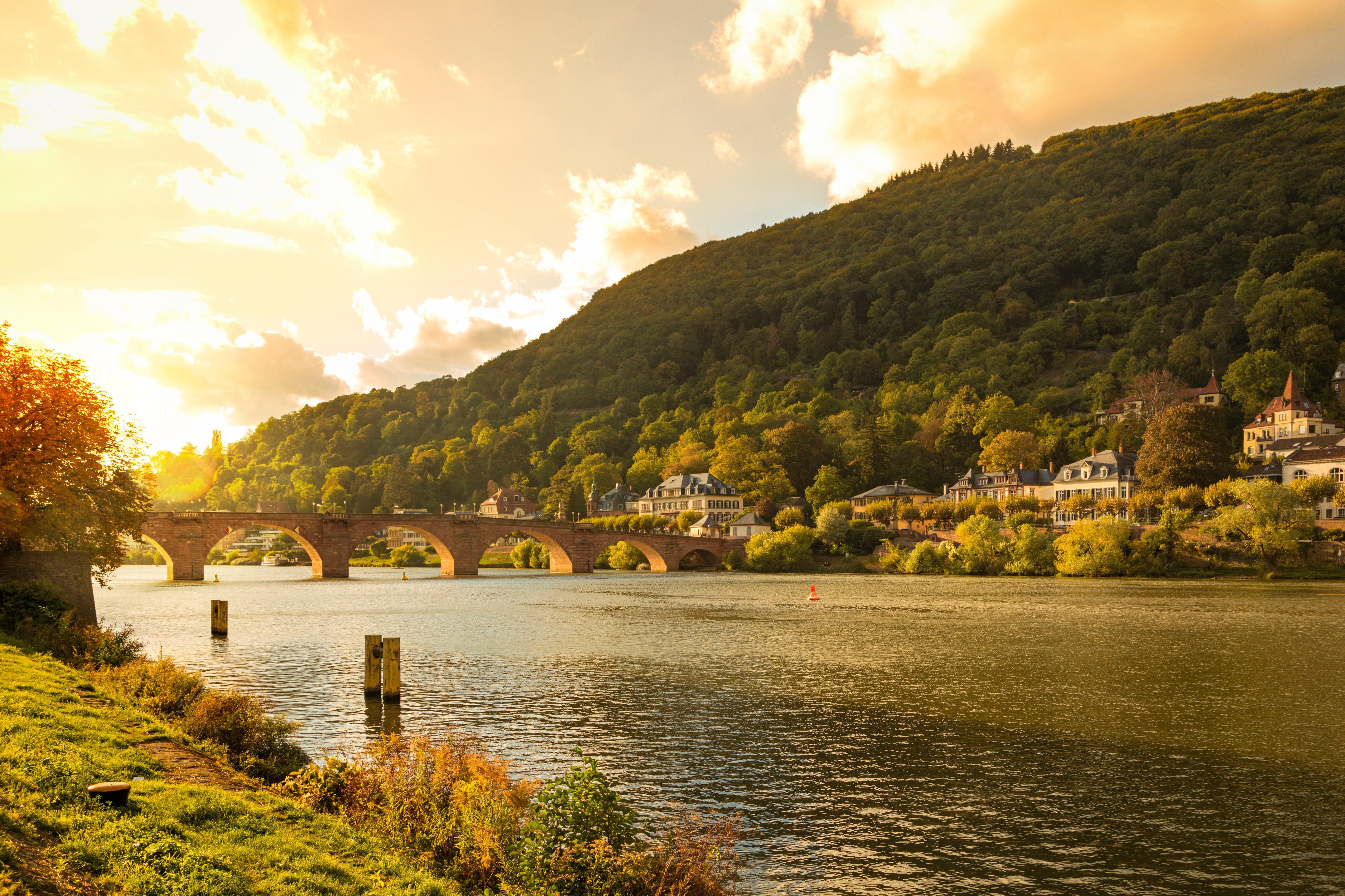 neckar-adobestock-228136483.jpeg