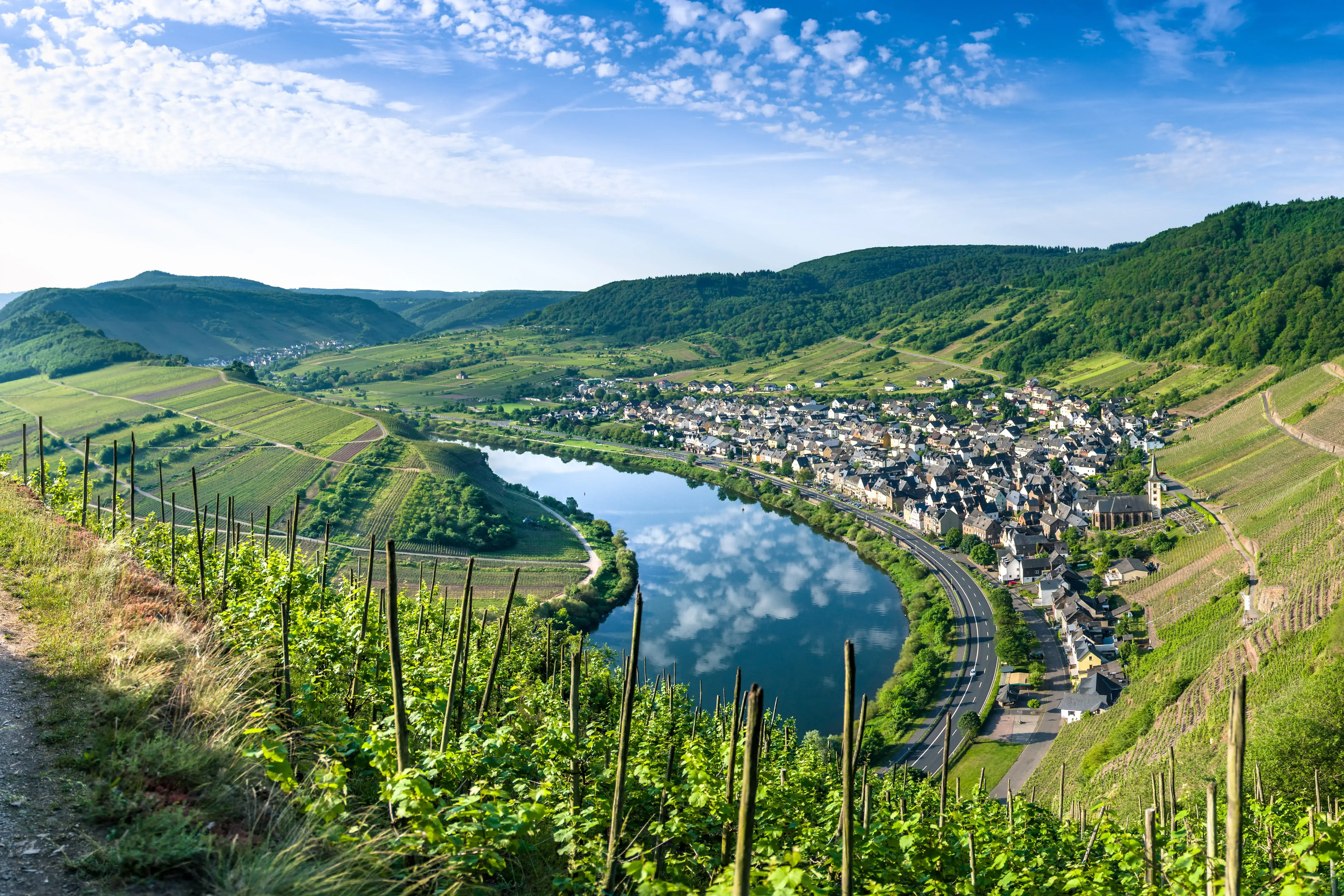 mosel-adobestock-158650122.webp