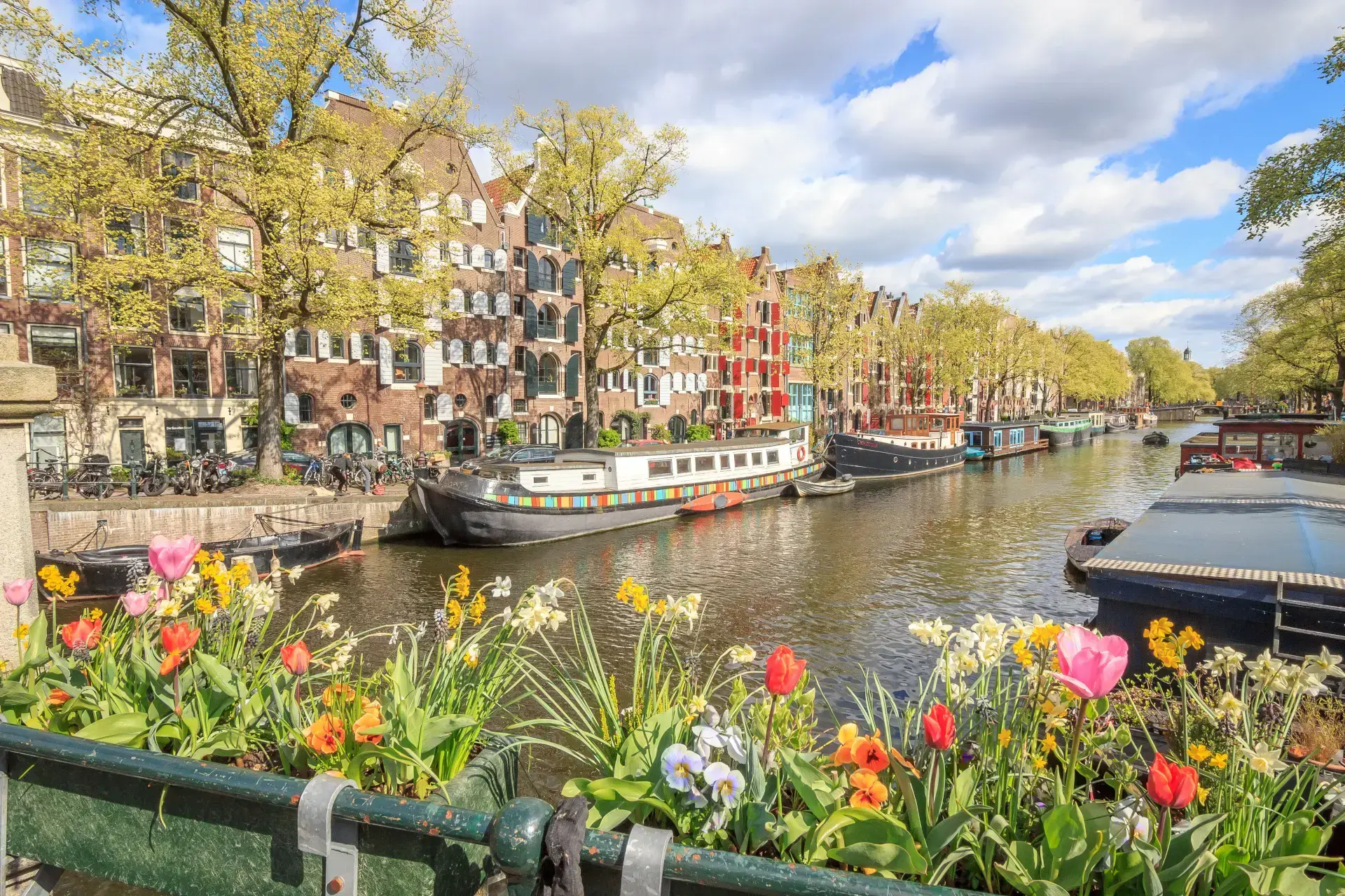 amsterdam-adobestock-184091714.webp