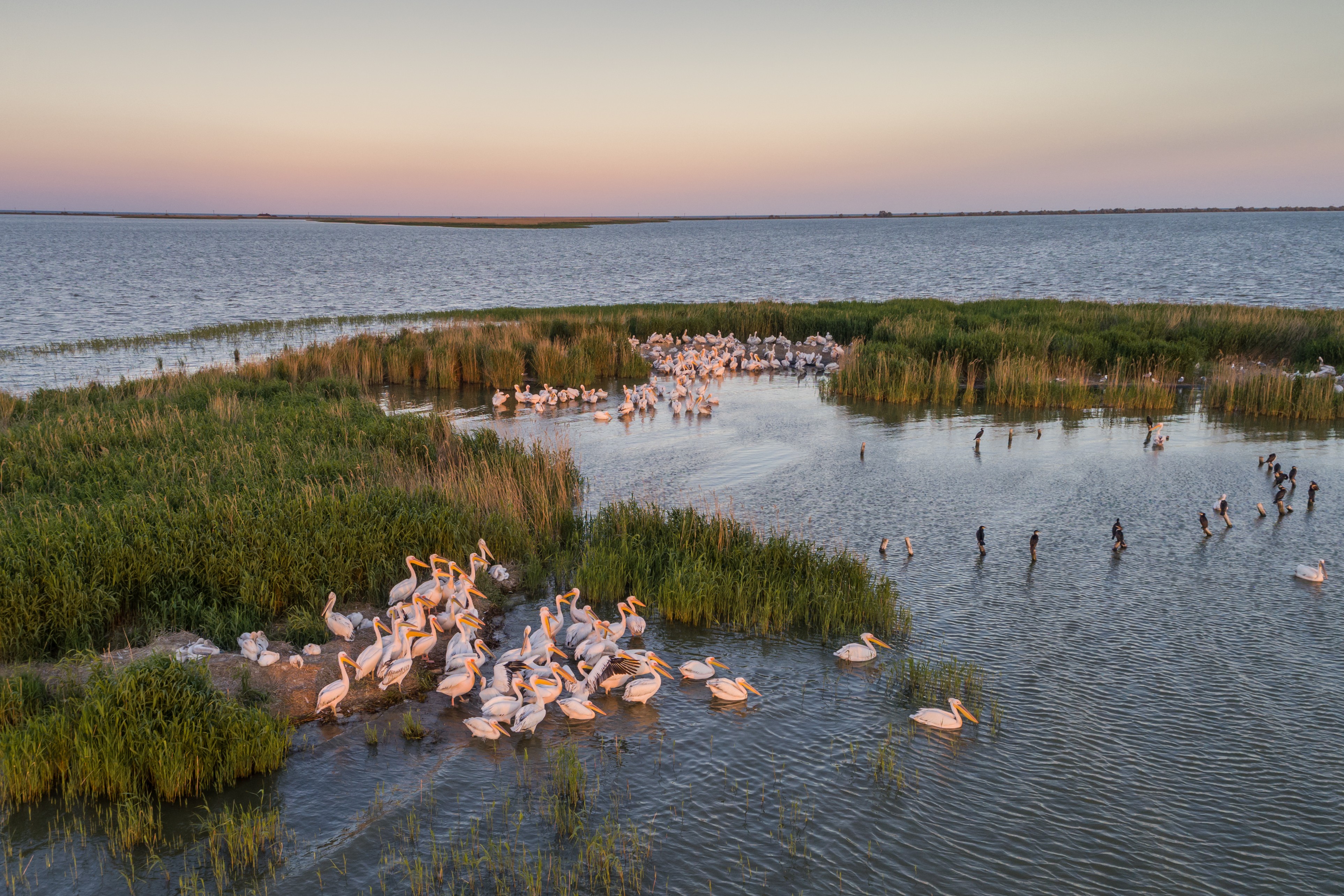 Danube_Delta_shutterstock_656181136.jpg