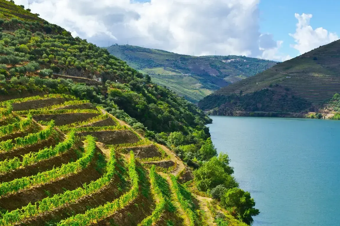 csm_AdobeStock_57902262_Douro_fa2f1999aa.webp