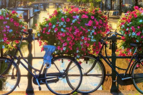 Маршрут круиза