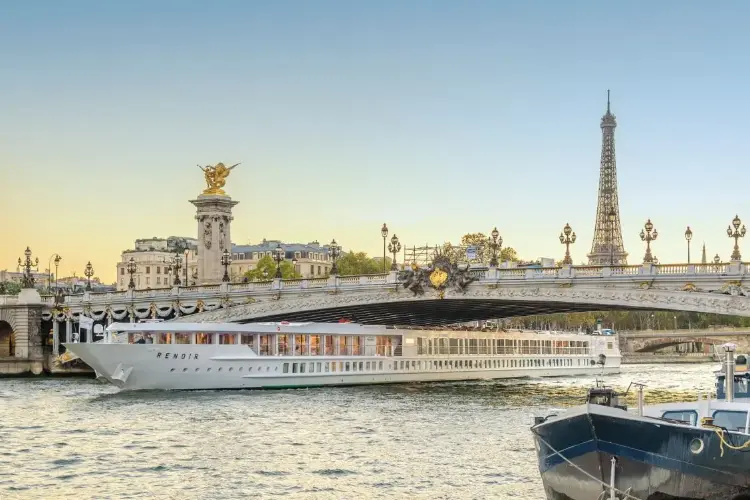 MS Renoir 1.webp