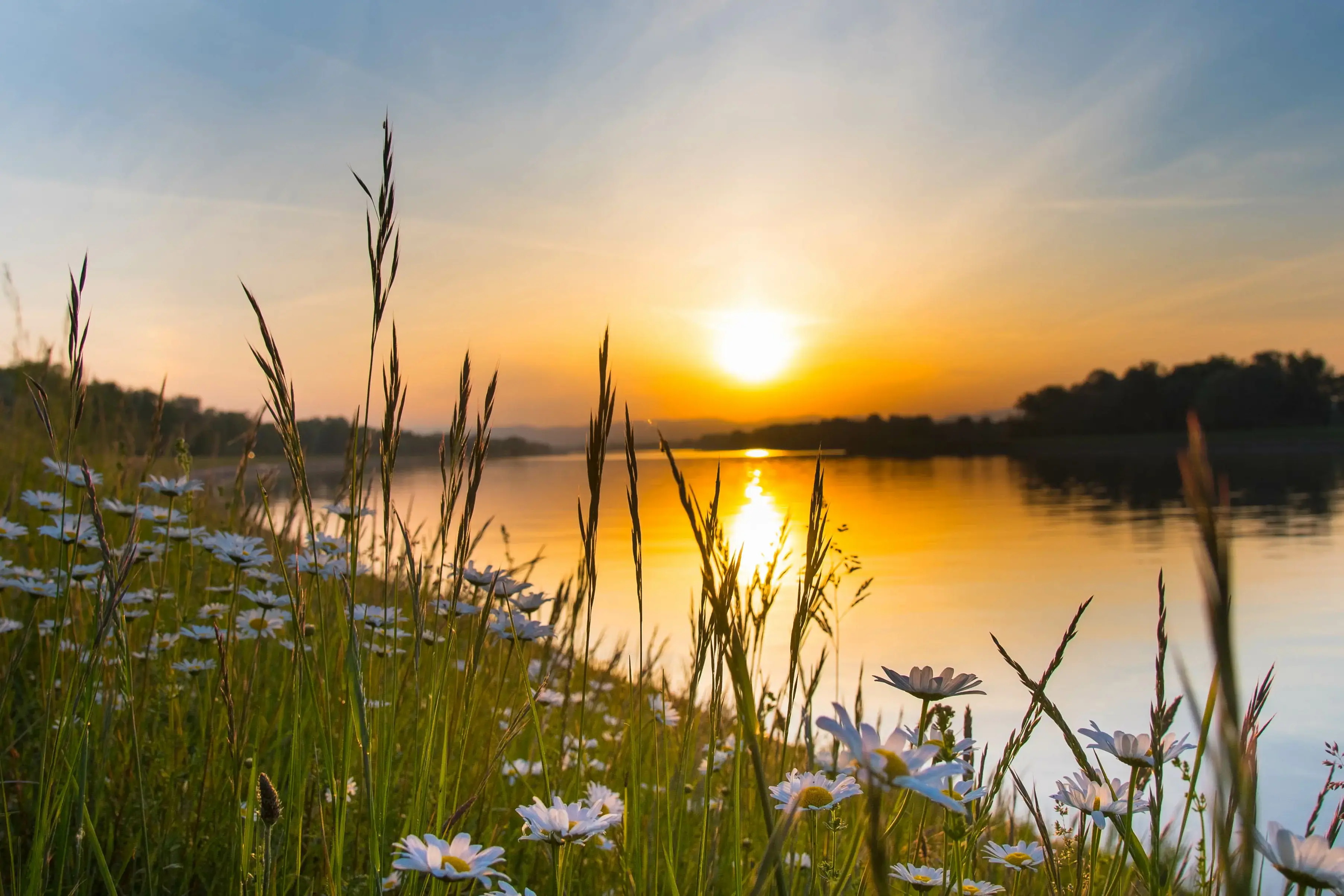 rhein-adobestock-342419826.webp