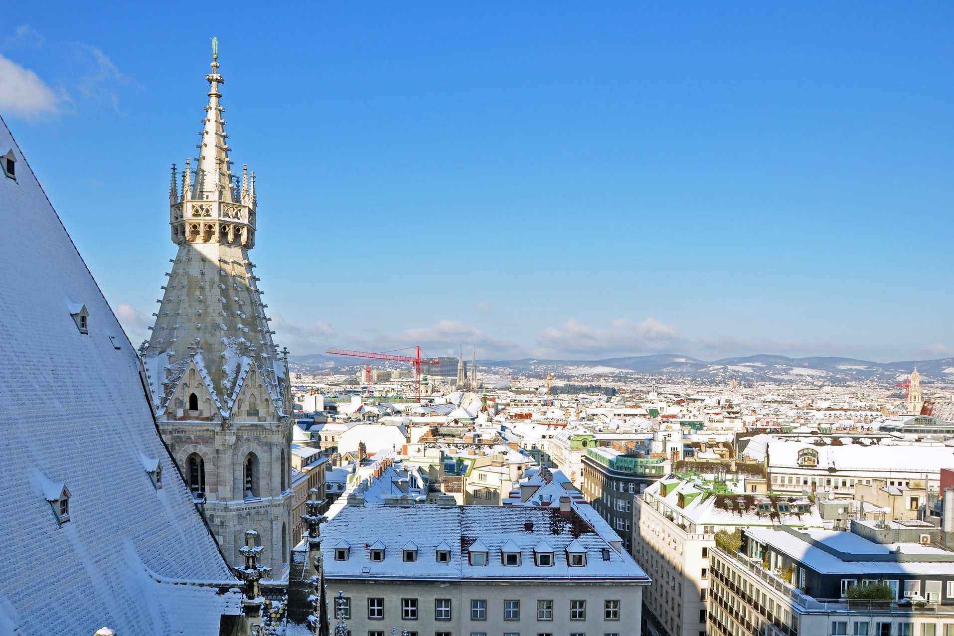 csm_AdobeStock_57783434_Wien_a8e086b7c5.jpeg