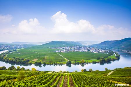 allemagne-moselle-vallee-croisieurope-vignette-sfs-shutterstock