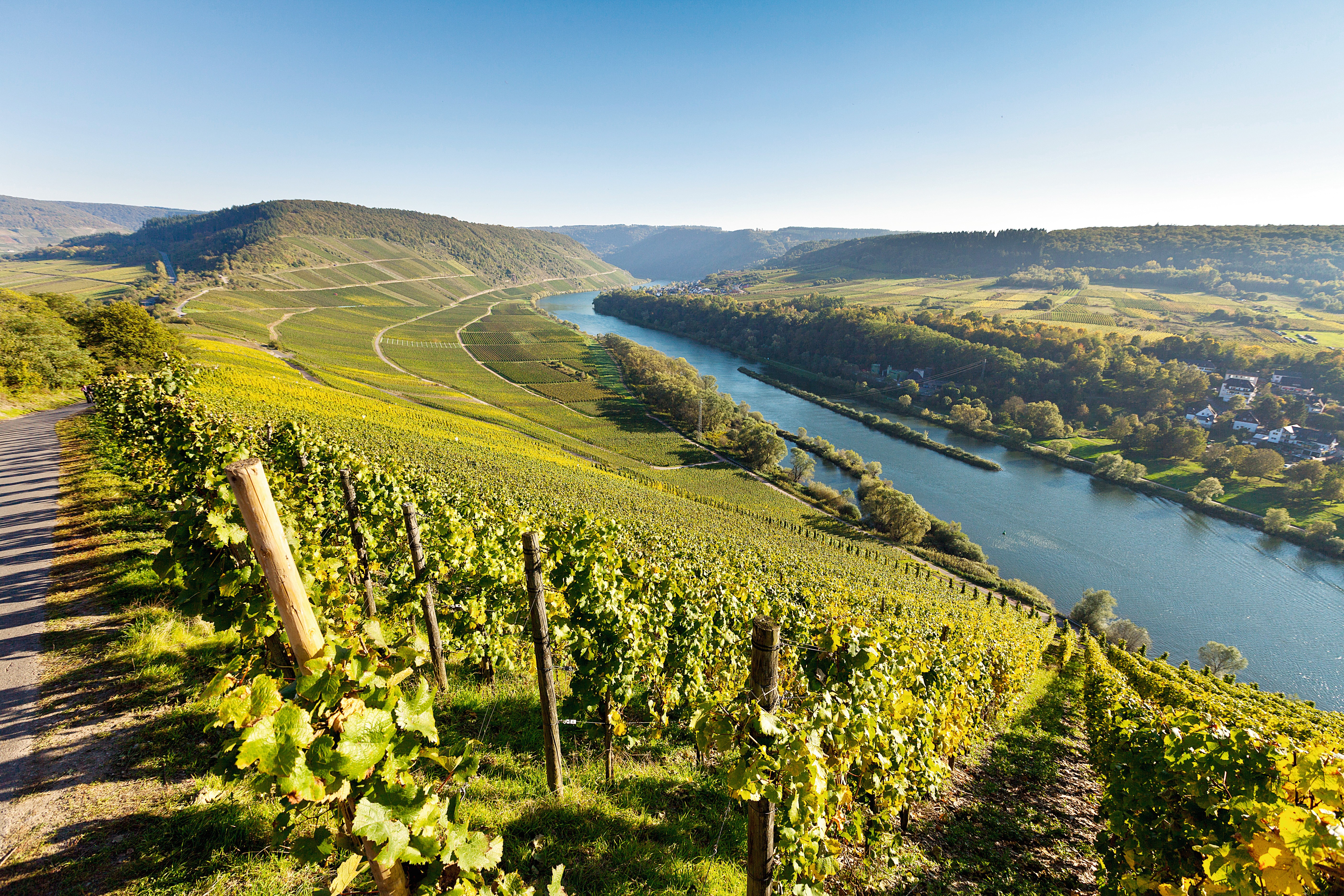 Mosel_RN_DLX_MOSELTAL_WEINBERGE_01_rgb.jpg