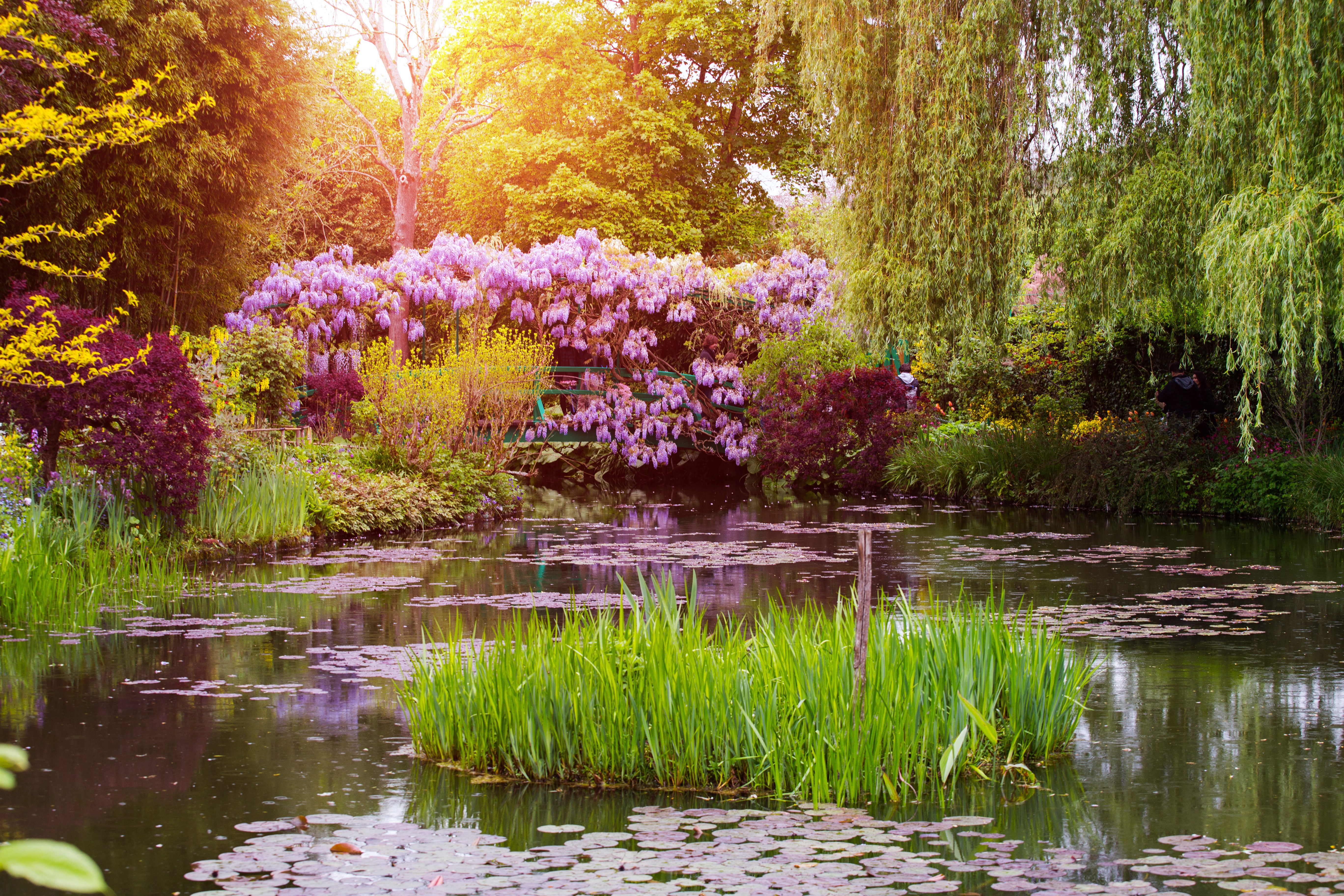 Lueftner_Cruises_Amadeus_France_Seine_Giverny_Monets_Garden__c_shutterstock.com.jpg